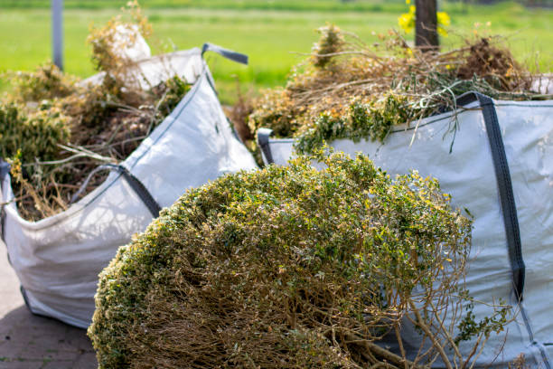Best Basement Cleanout Services  in Speedway, IN